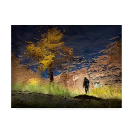 Shenshen Dou 'Man In Nature Canyon' Canvas Art,35x47